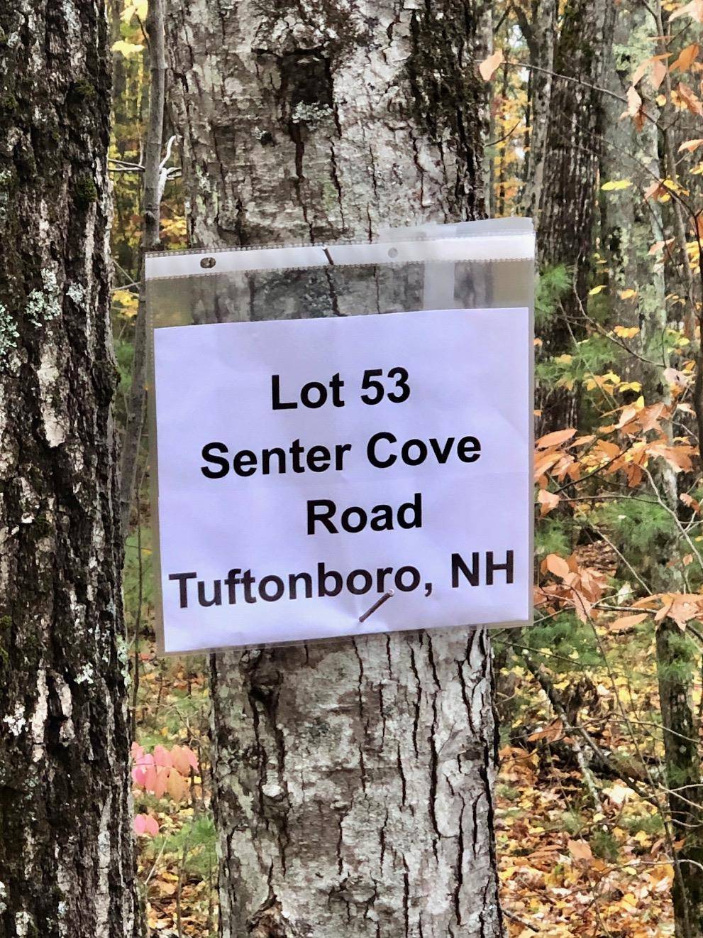 Tuftonboro, NH 03850,Lot 53 Senter Cove RD