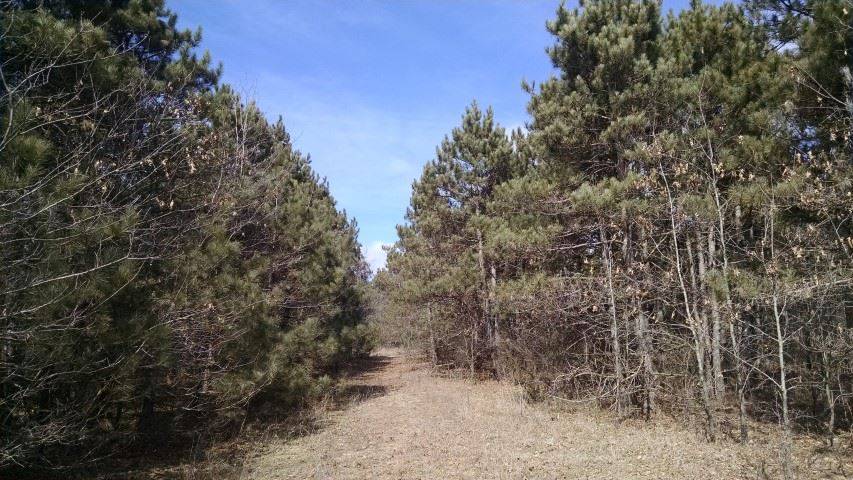 Avoca, WI 53506,23.75 Ac 7th St