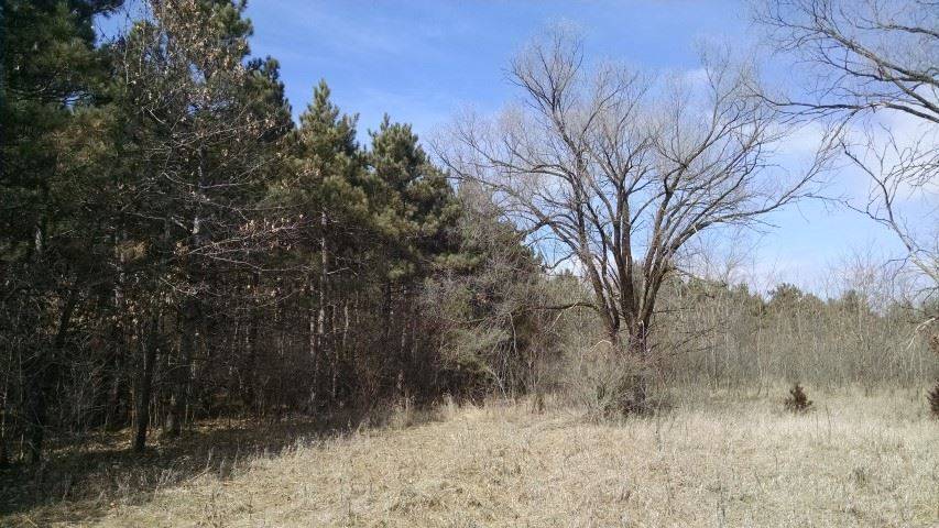 Avoca, WI 53506,23.75 Ac 7th St