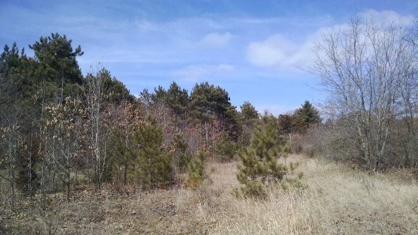 Avoca, WI 53506,23.75 Ac 7th St