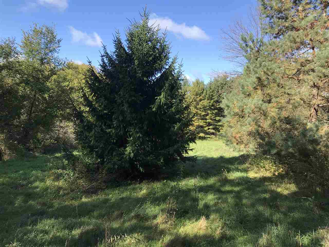 Lodi, WI 53555-0000,Thistledown Dr
