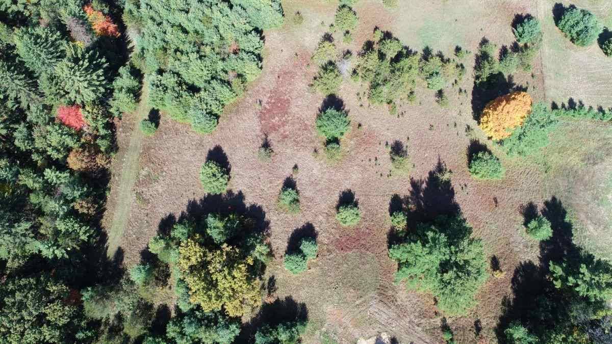 Lyndon Station, WI 53944,6.82 Ac 54th St