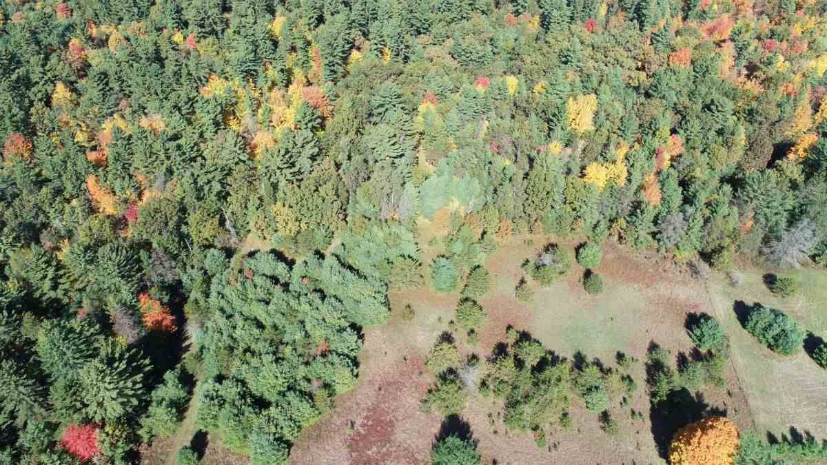 Lyndon Station, WI 53944,6.82 Ac 54th St