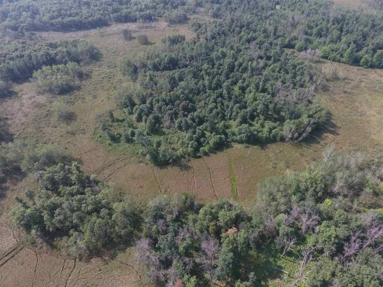 Nekoosa, WI 54457,80 AC W Lynn Hill Rd