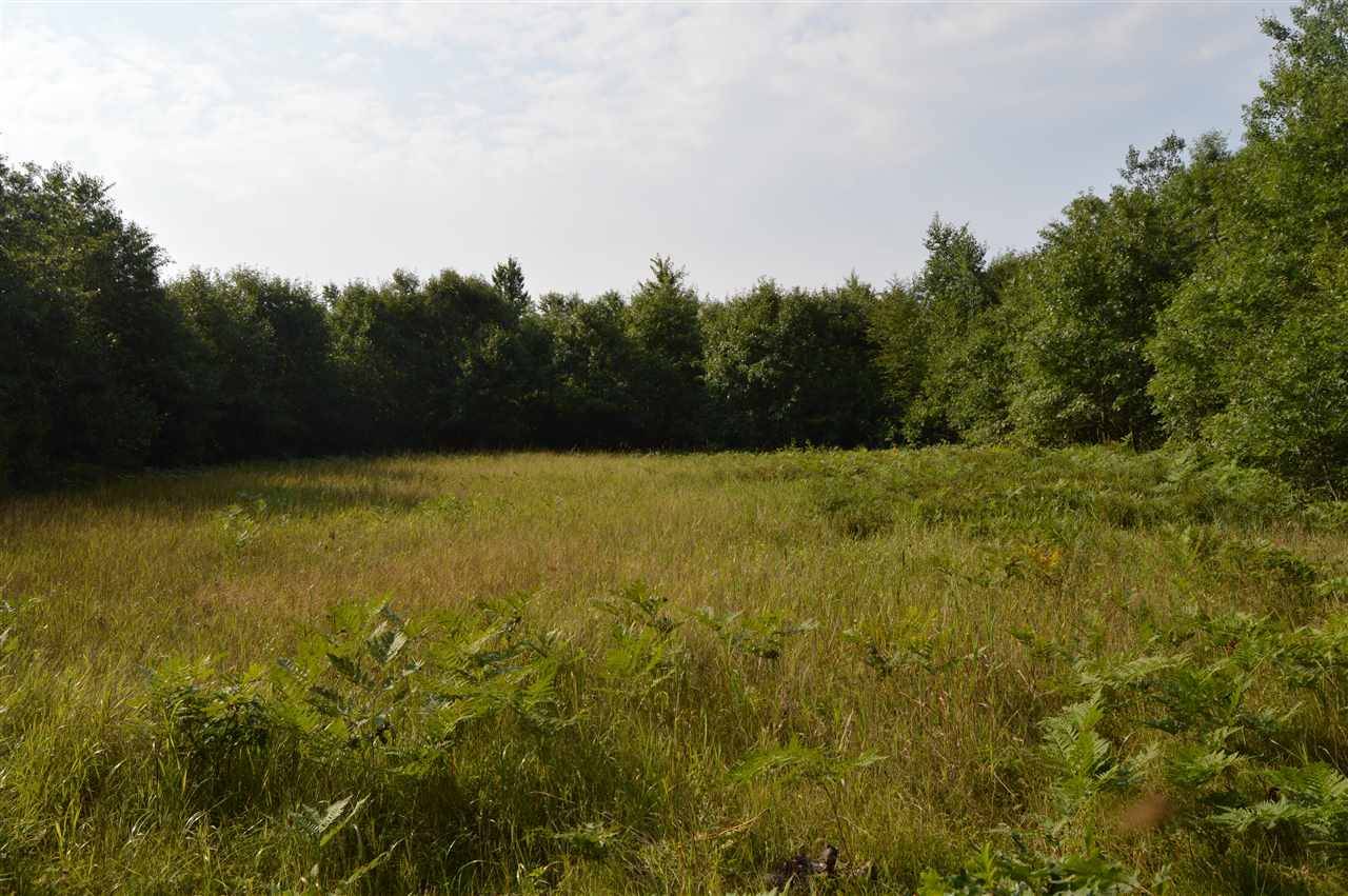 Nekoosa, WI 54457,80 AC Middle Lynn Hill Rd