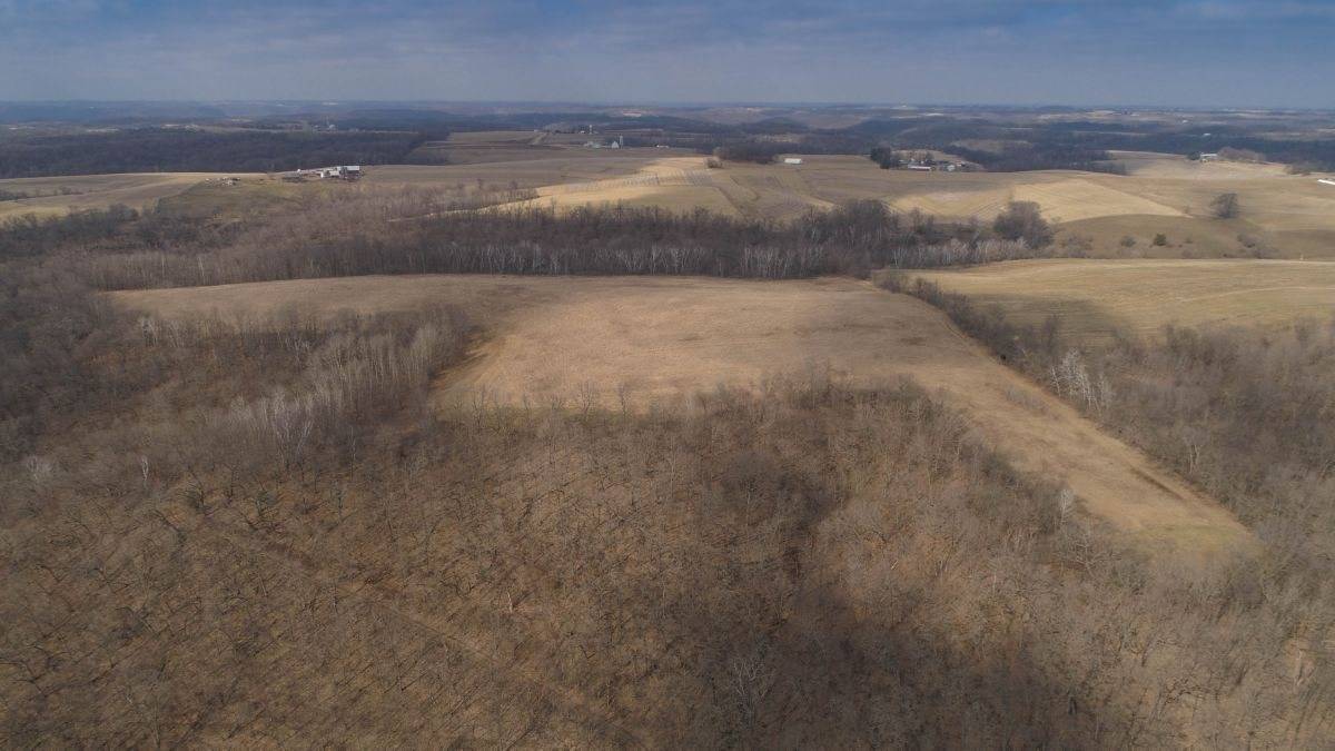 Boscobel, WI 53505,000 Dry Hollow Rd