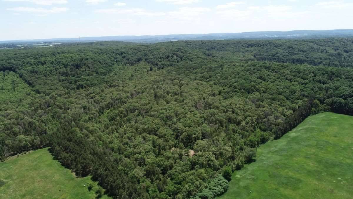 Baraboo, WI 53913,0000 Hogsback Rd