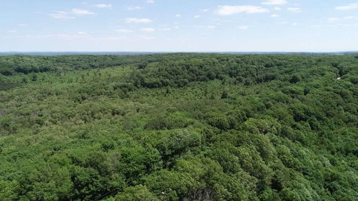 Baraboo, WI 53913,0000 Hogsback Rd