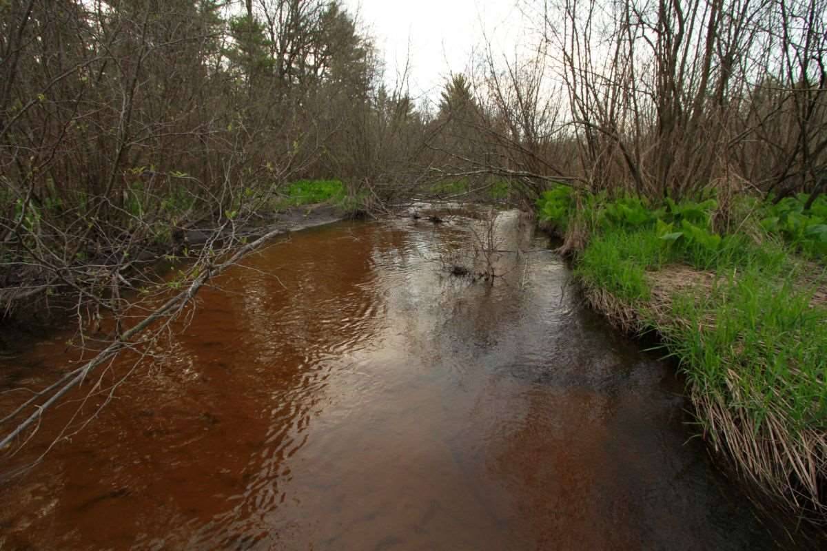 Adams, WI 53910,10.02 Ac 14th Ave