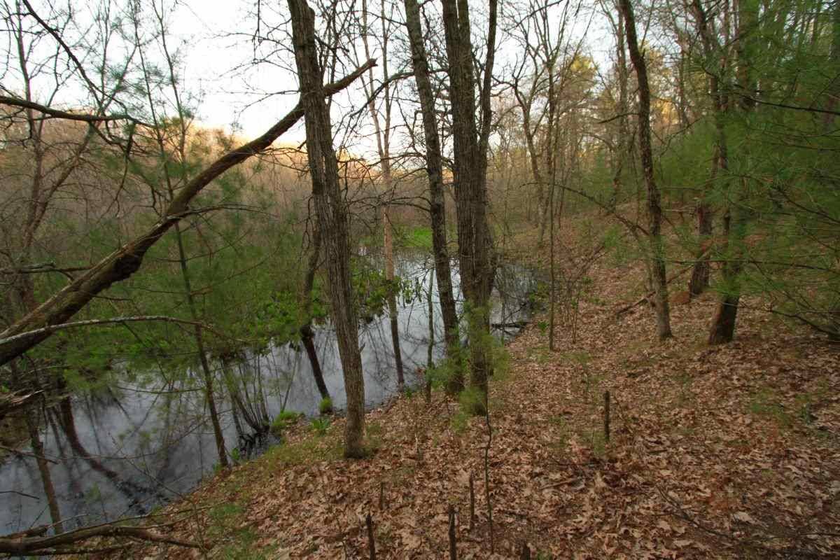 Adams, WI 53910,10.02 Ac 14th Ave