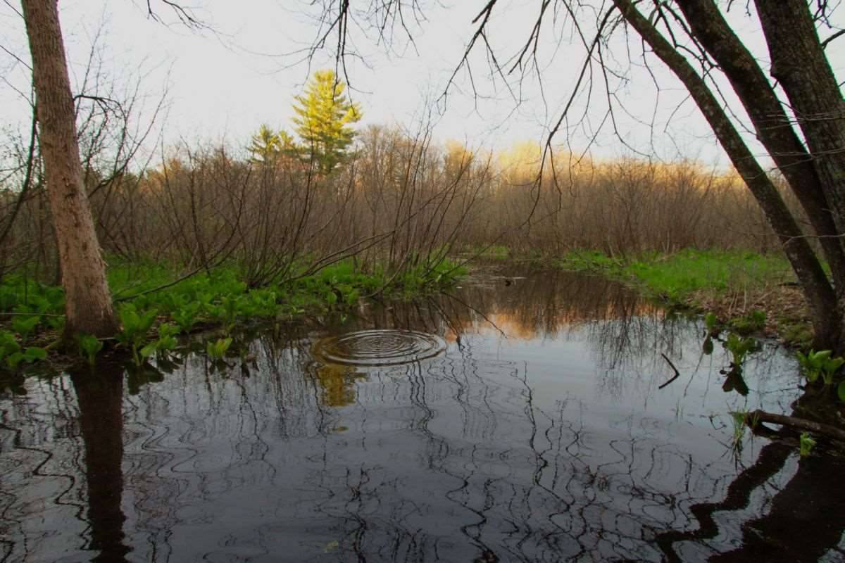 Adams, WI 53910,10.02 Ac 14th Ave