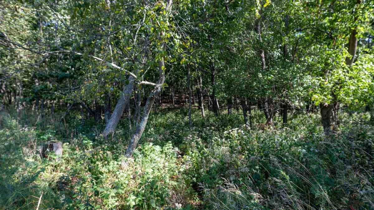 Portage, WI 53901,35 AC County Road EE