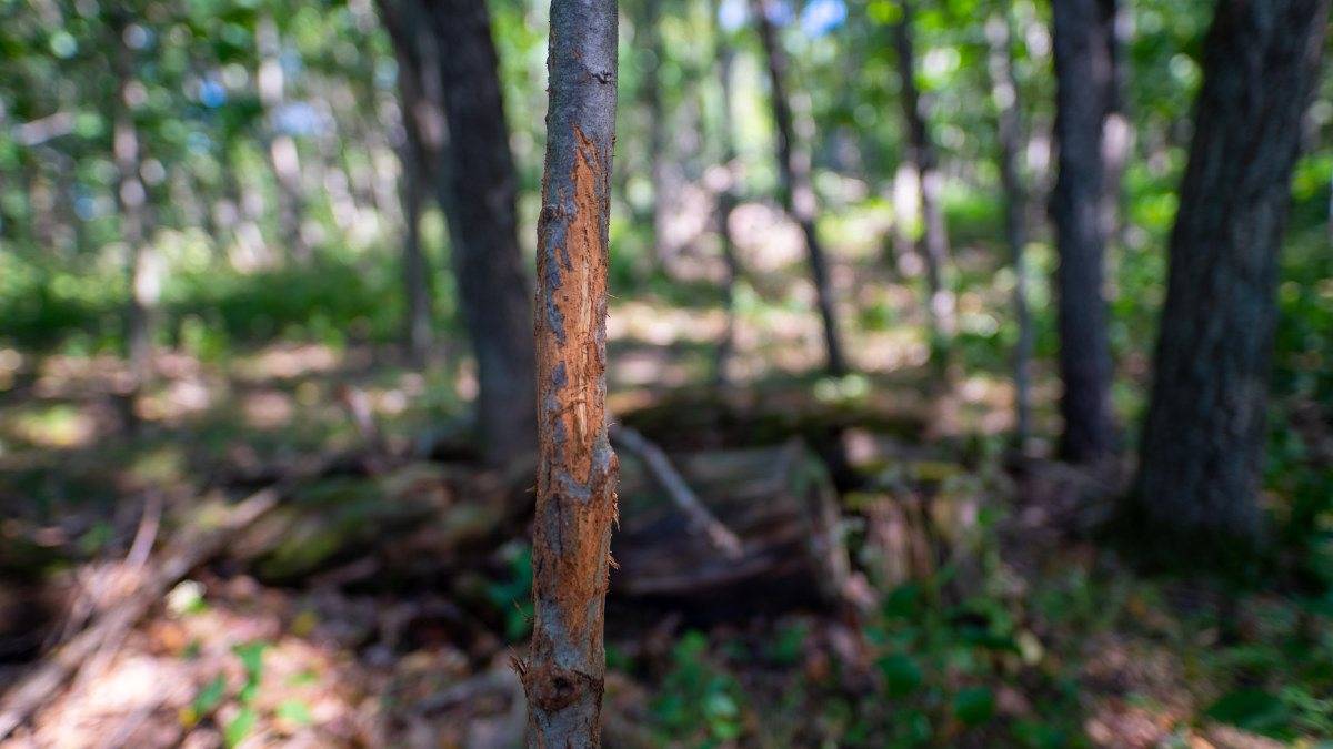 Portage, WI 53901,35 AC County Road EE