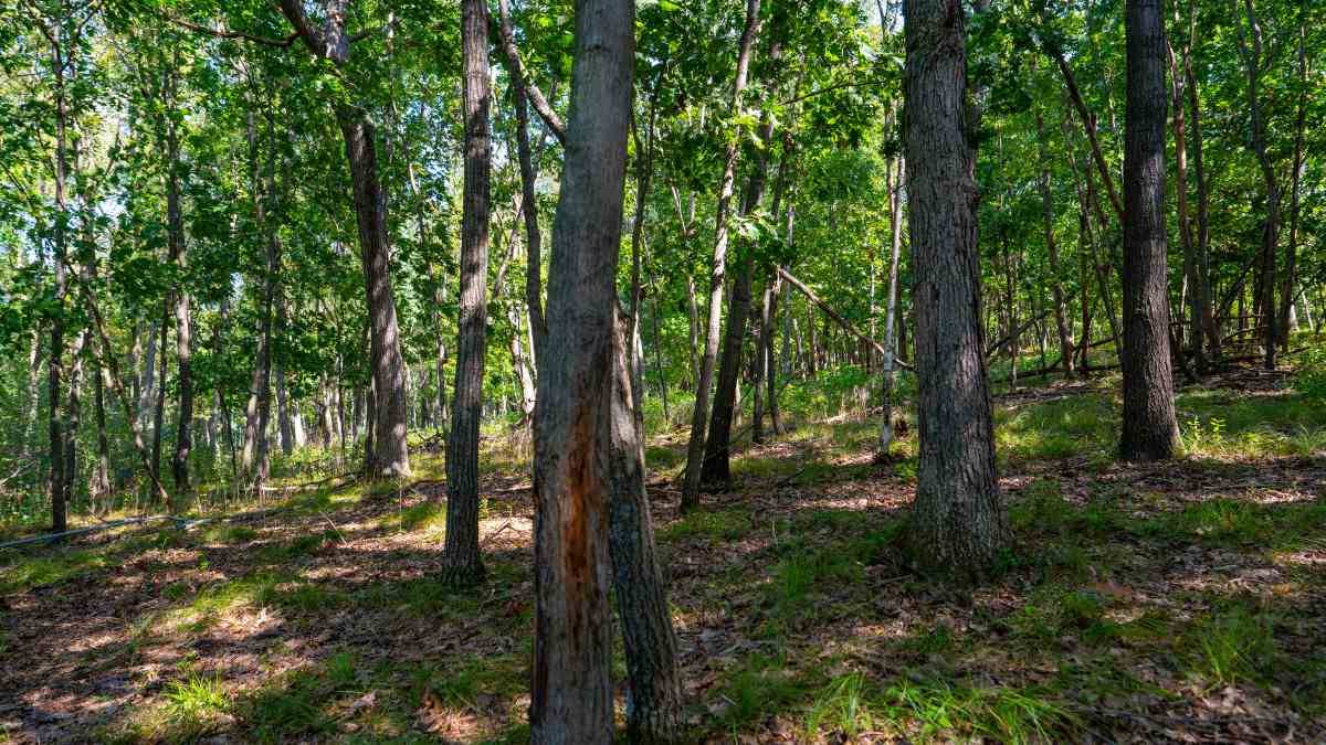 Portage, WI 53901,35 AC County Road EE