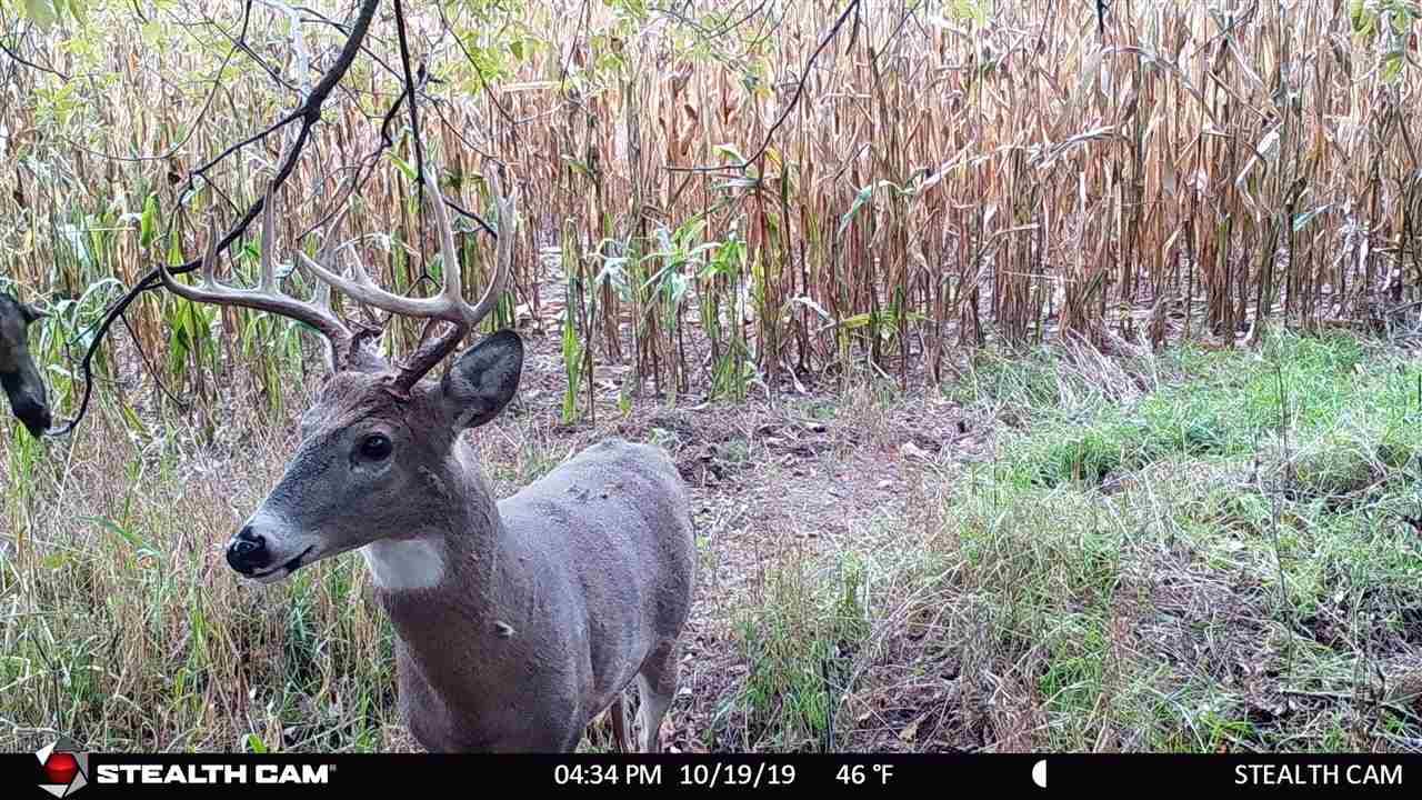 Fall River, WI 53932,40 AC County Road Z