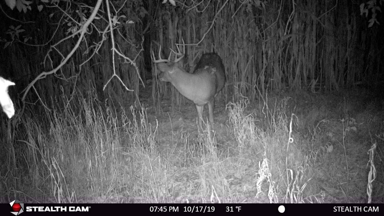 Fall River, WI 53932,40 AC County Road Z