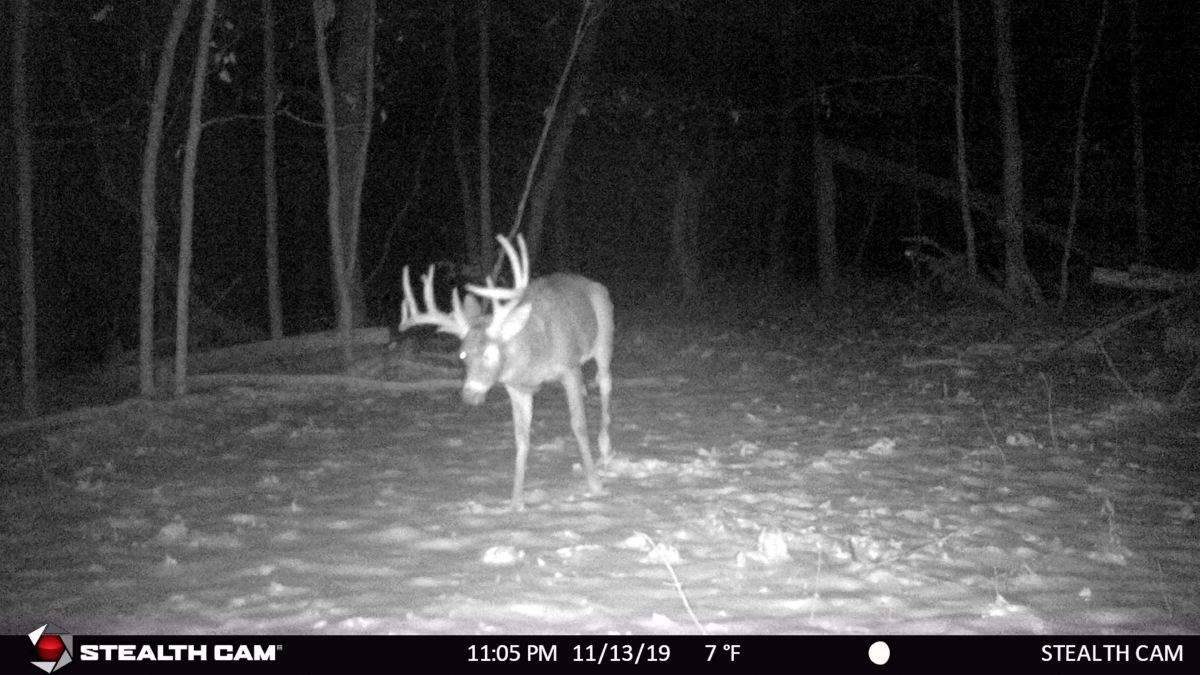 Richland Center, WI 53581,55.54 Ac Elm Tree Ln