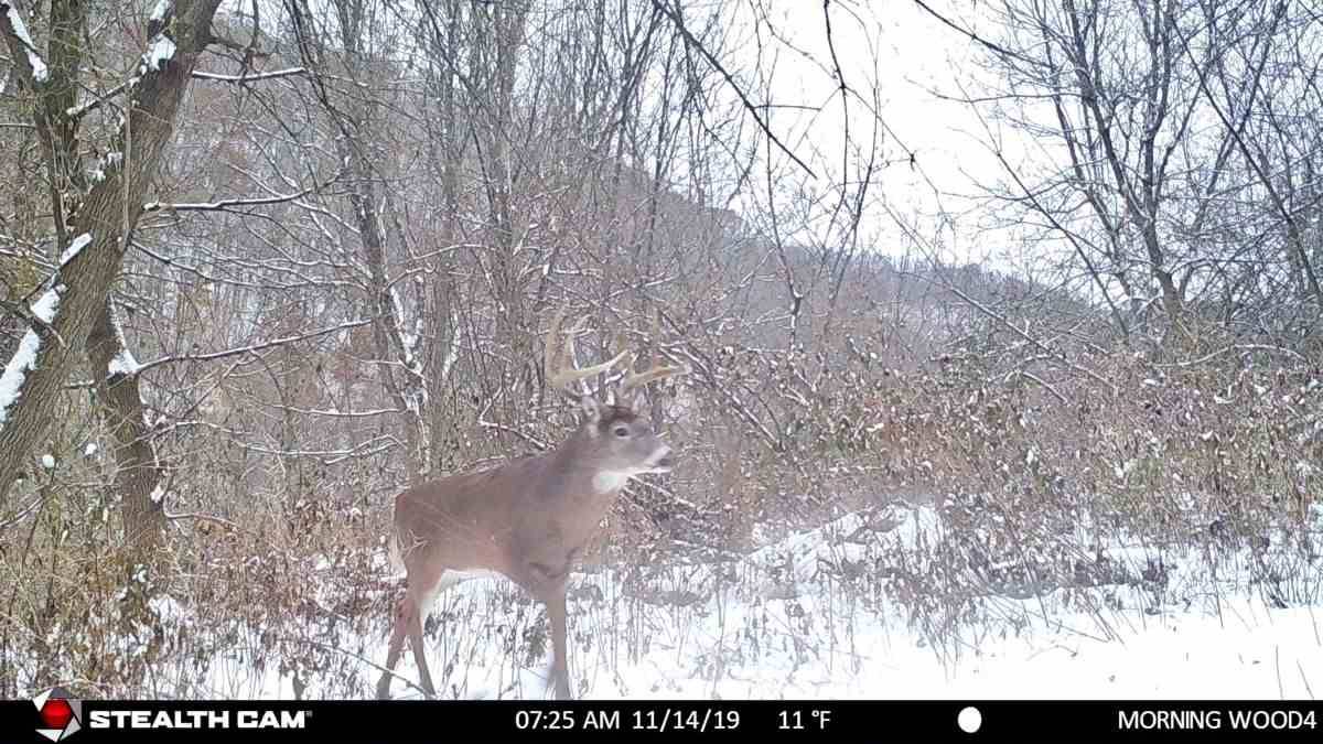 Richland Center, WI 53581,55.54 Ac Elm Tree Ln