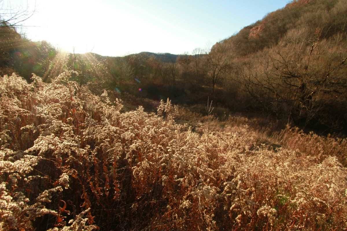 Richland Center, WI 53581,55.54 Ac Elm Tree Ln