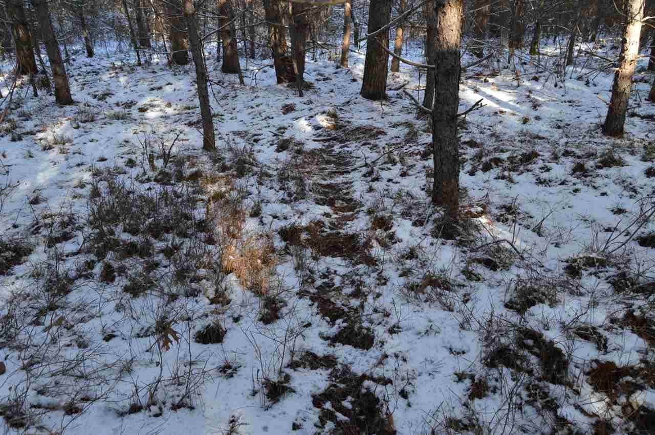 Necedah, WI 54646,40 AC 7th Ave