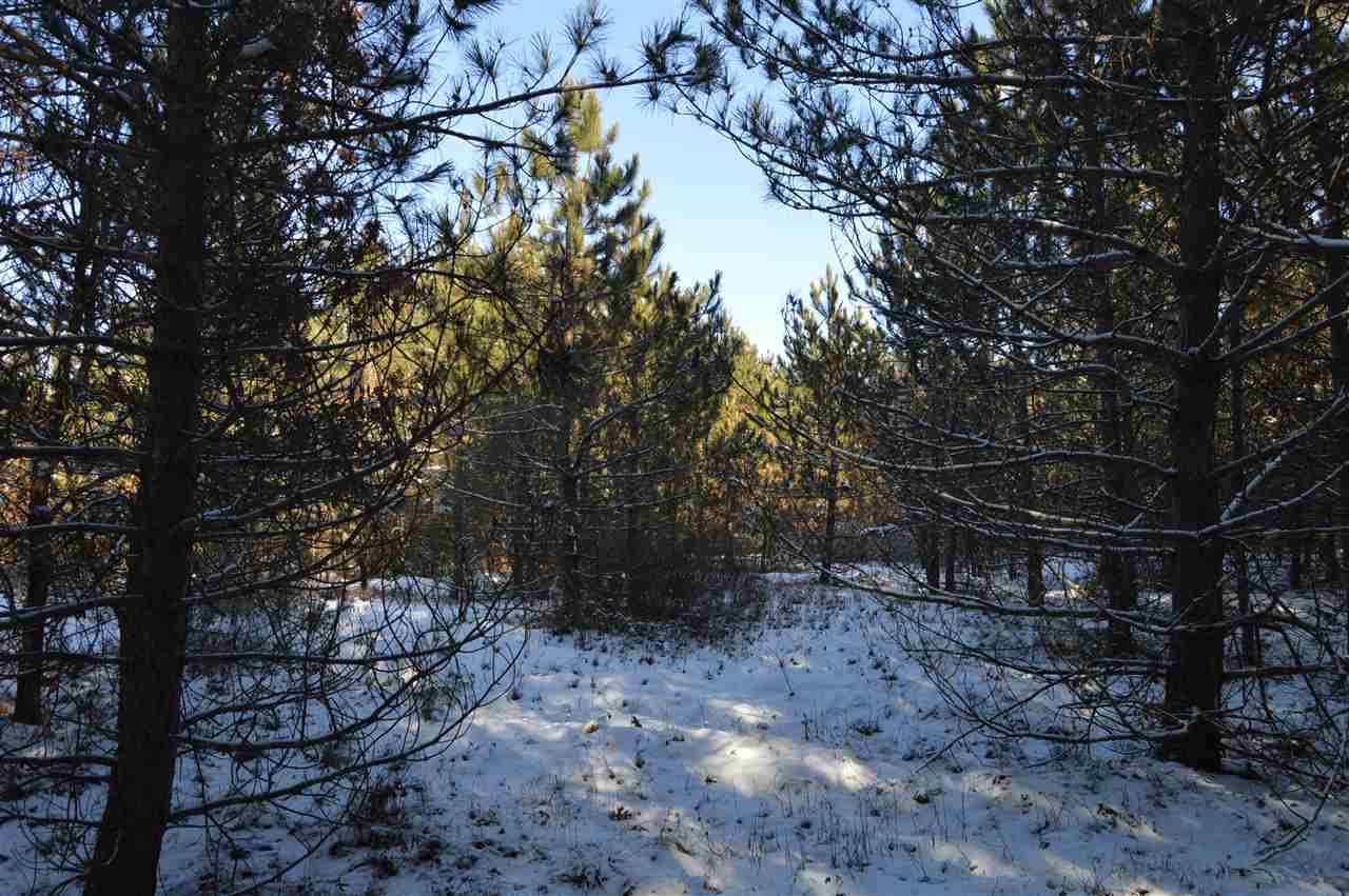Necedah, WI 54646,40 AC 7th Ave