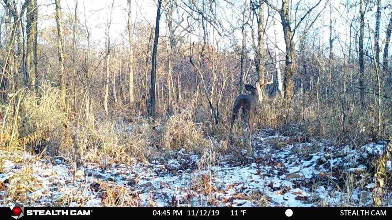 Portage, WI 53901,49.5 AC County Road CX