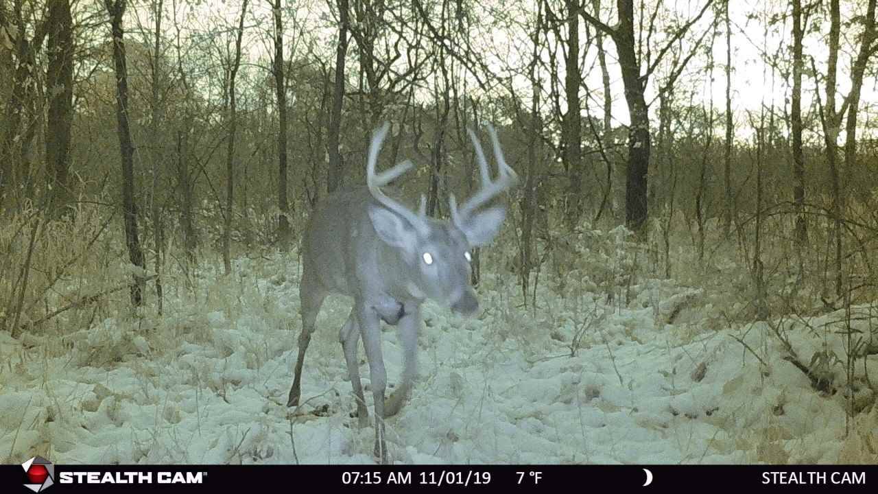 Portage, WI 53901,49.5 AC County Road CX