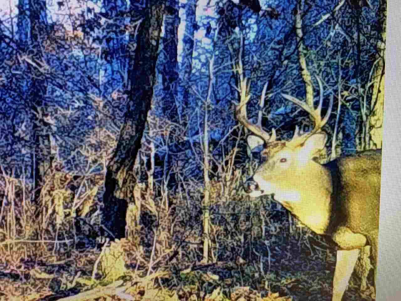 Portage, WI 53901,49.5 AC County Road CX