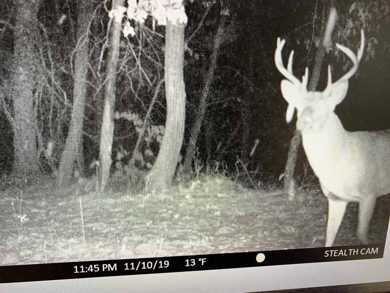 Portage, WI 53901,49.5 AC County Road CX