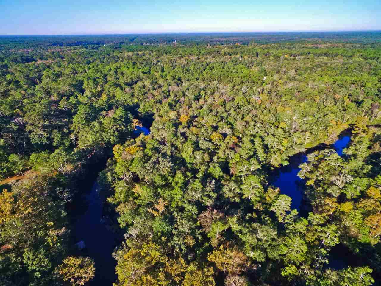 Sopchoppy, FL 32358,Lots 20 & 21 Seminole Lane