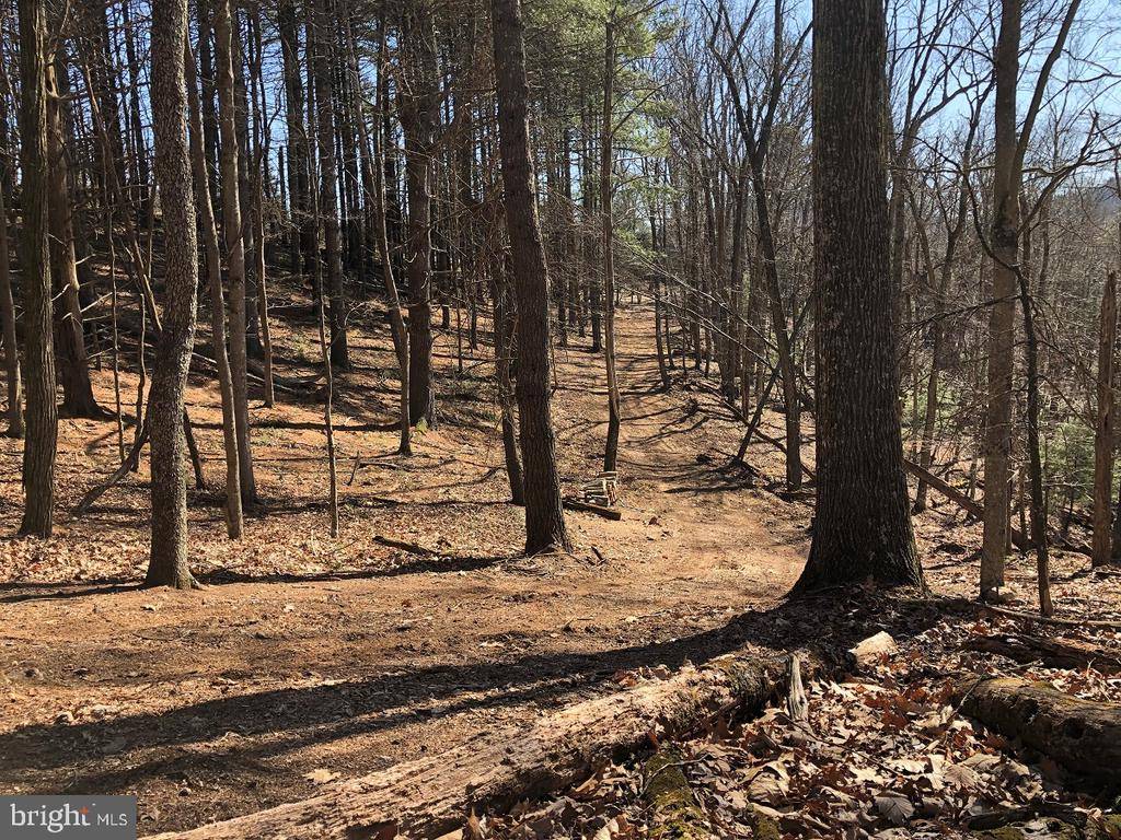 Sugar Grove, WV 26815,SUGAR GROVE ESTATES-MT HALL RD #LOT 17