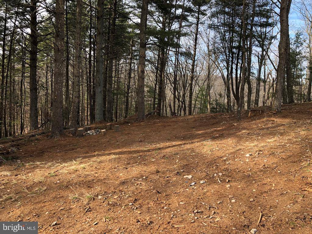 Sugar Grove, WV 26815,SUGAR GROVE ESTATES-MT HALL RD #LOT 17