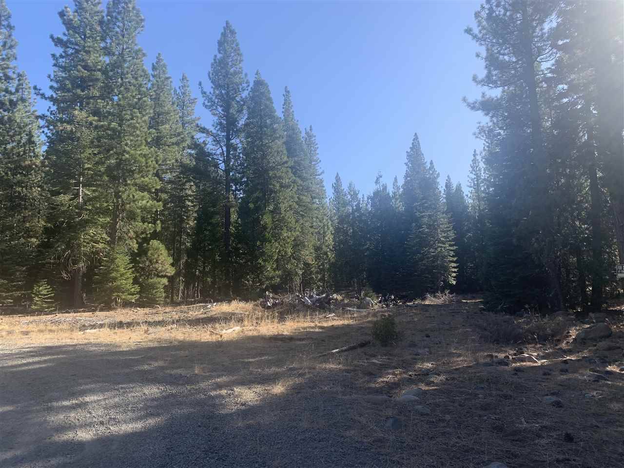 Sierraville, CA 96126,0000 Amodei Ranch Road