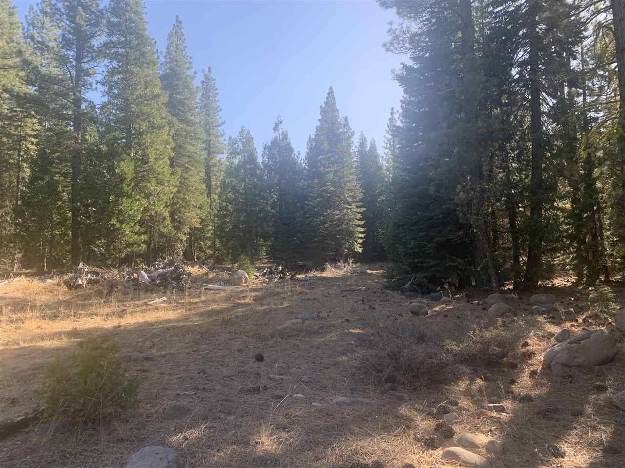 Sierraville, CA 96126,0000 Amodei Ranch Road