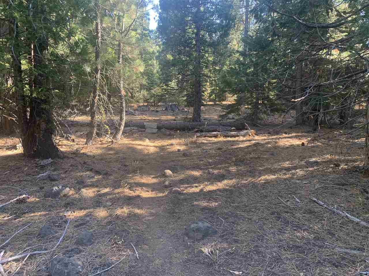 Sierraville, CA 96126,0000 Amodei Ranch Road