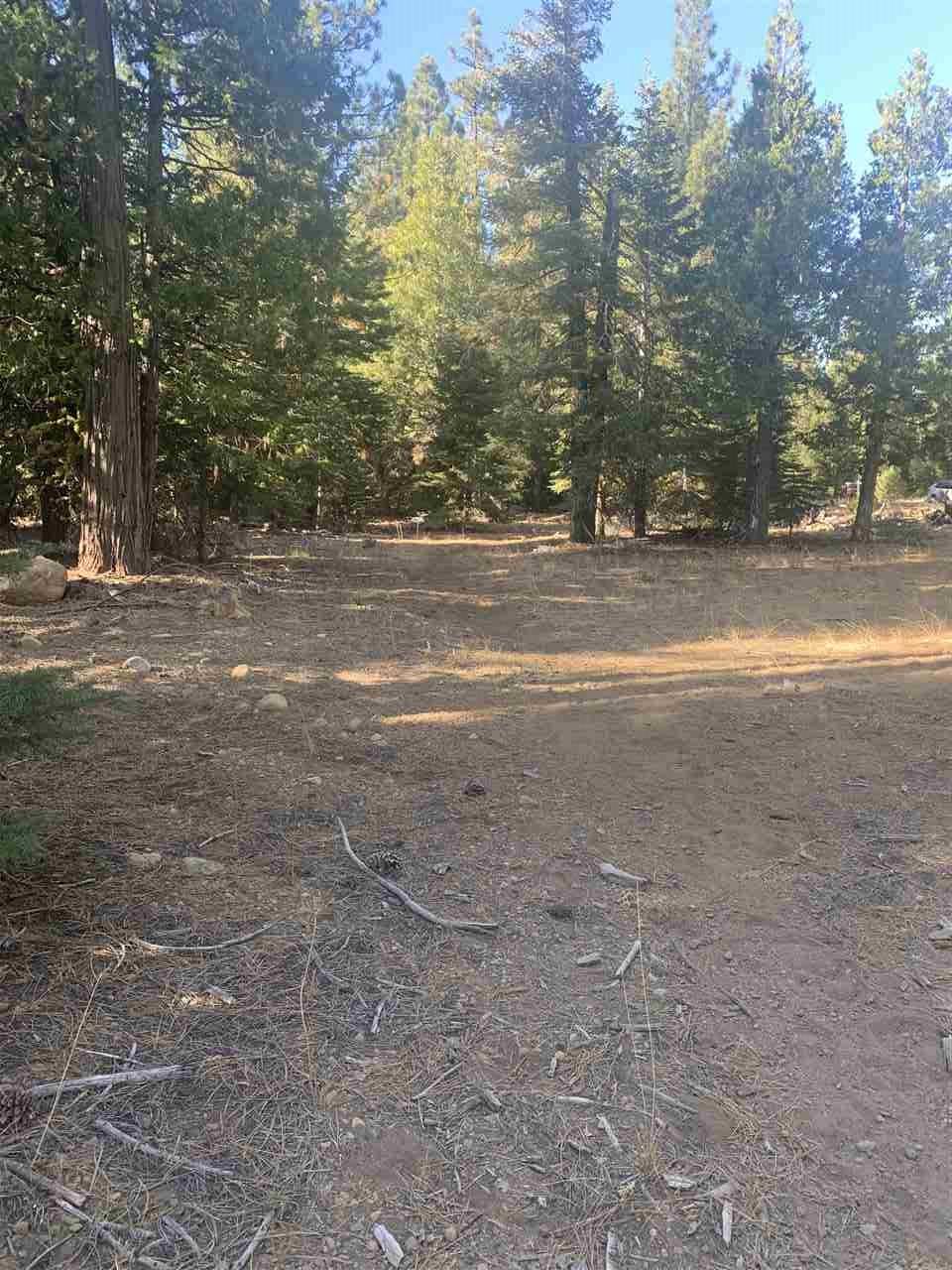 Sierraville, CA 96126,0000 Amodei Ranch Road