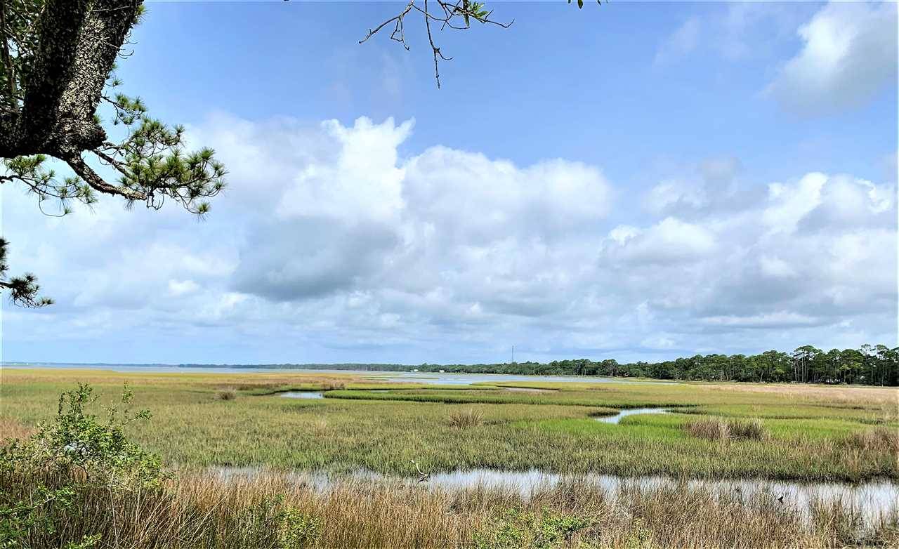 Alligator Point, FL 32346,0 Alligator Drive #-