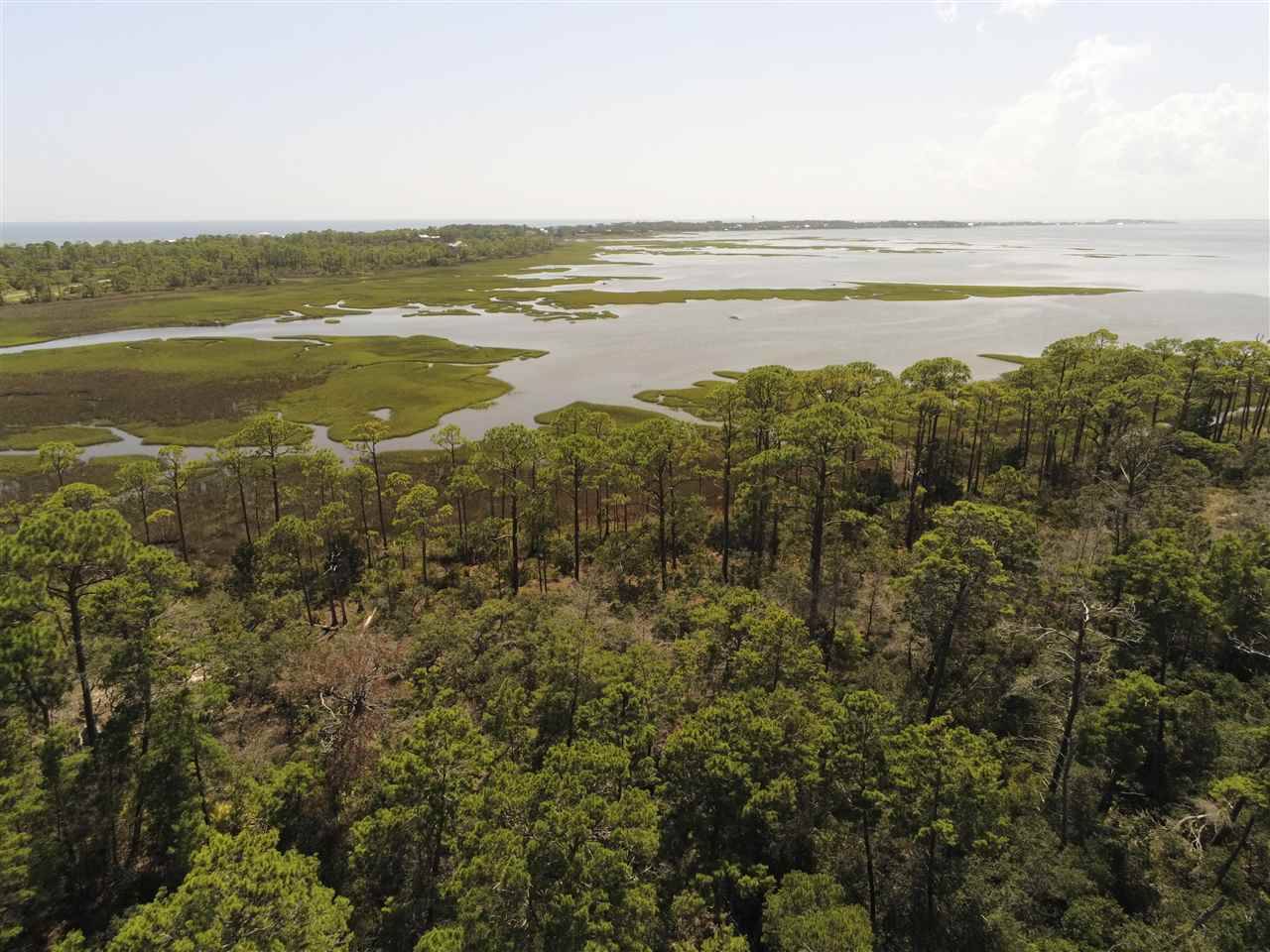 Alligator Point, FL 32346,0 Alligator Drive #-