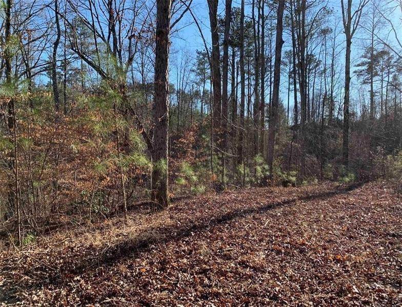 Talking Rock, GA 30175,0 Yukon RD