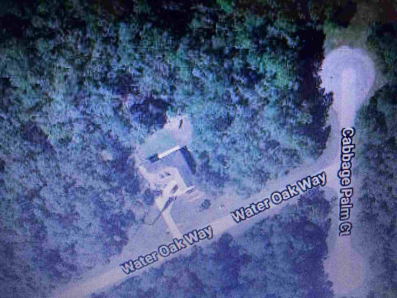 St Marks, FL 32355,- WATER OAK Way #-