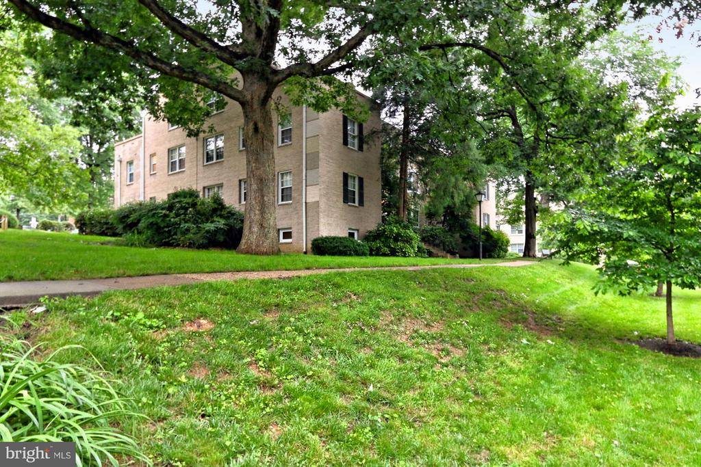 Arlington, VA 22204,820 ARLINGTON MILL DR #3-204