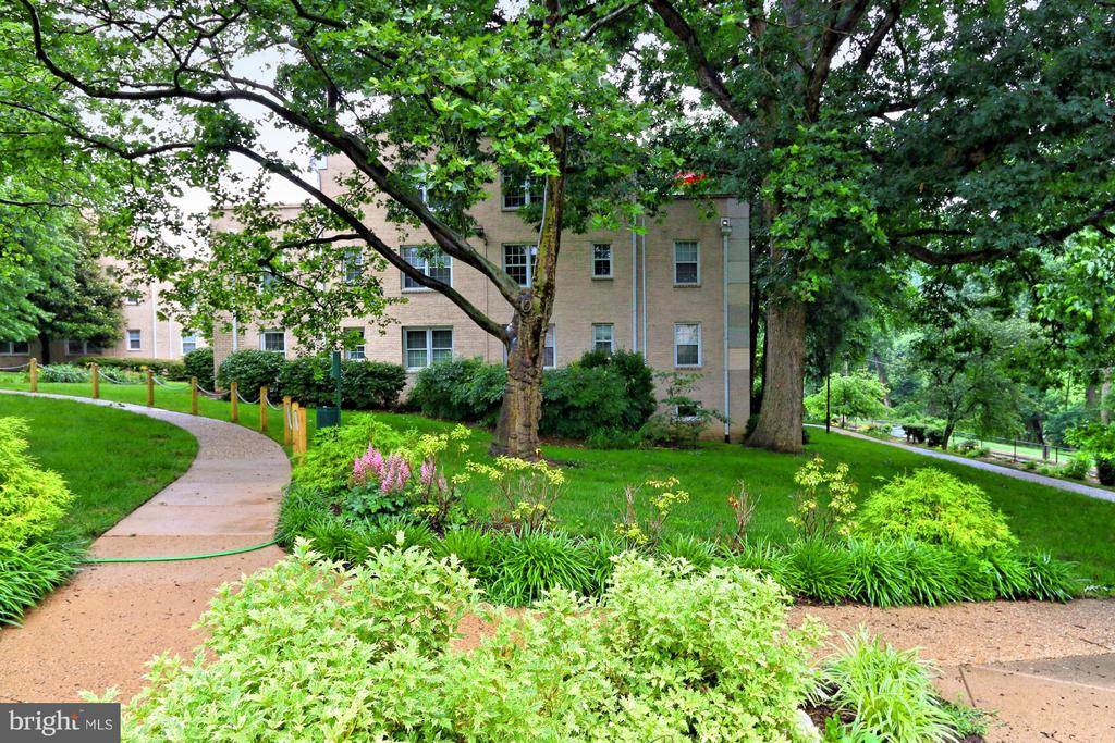 Arlington, VA 22204,820 ARLINGTON MILL DR #3-204