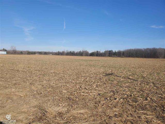 Kenockee Twp, MI 48006,FARGO RD VL - 55.18 ACRES