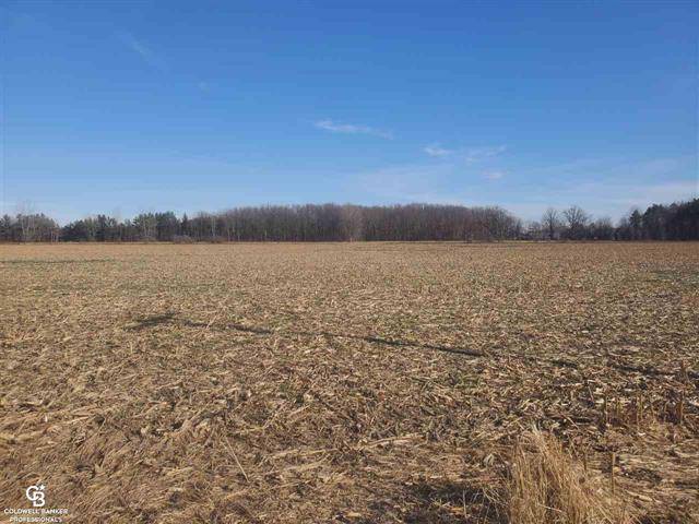 Kenockee Twp, MI 48006,FARGO RD VL - 55.18 ACRES