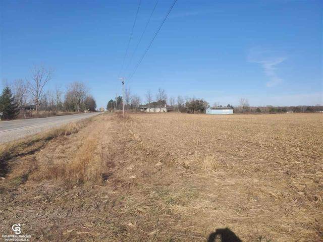 Kenockee Twp, MI 48006,FARGO RD VL - 55.18 ACRES