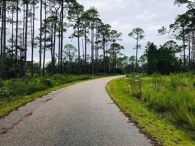 Shell Point, FL 32327,Lot 13 Fiddlers Trace Trace