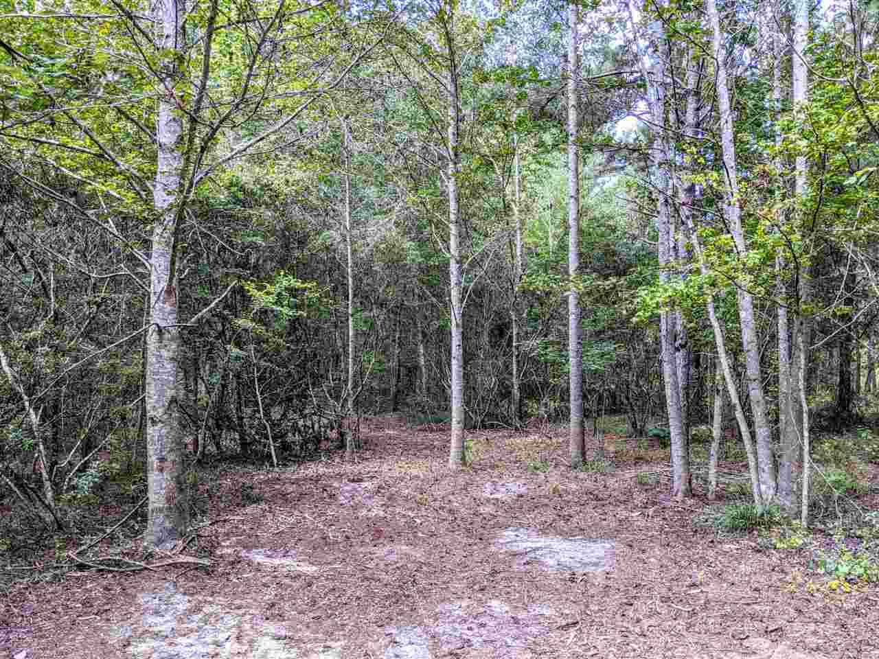 Monticello, FL 32344,Vacant Watermill Road