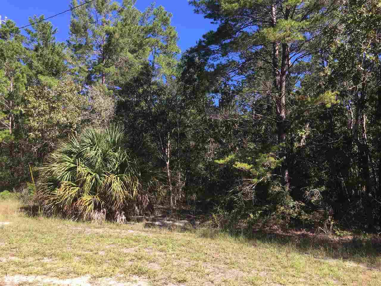 Keaton Beach, FL 32348,0 Bambi Court