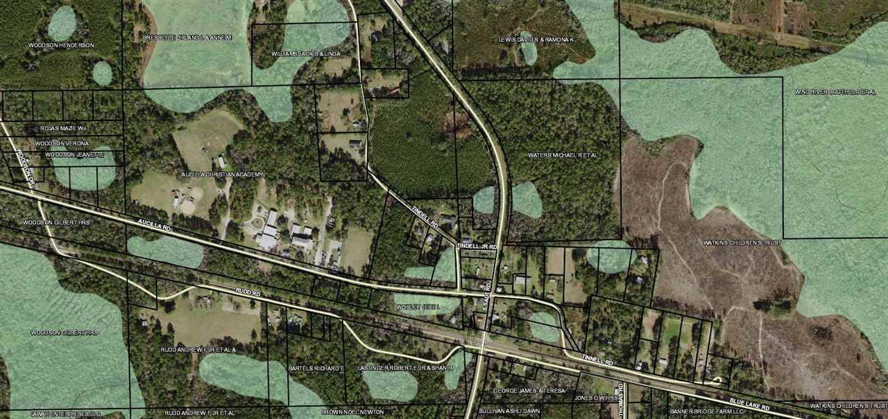 Monticello, FL 32344,xxx Tindell Road