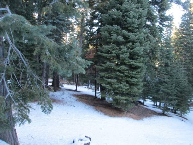 Truckee, CA 96161-0000,13750 Pathway Avenue